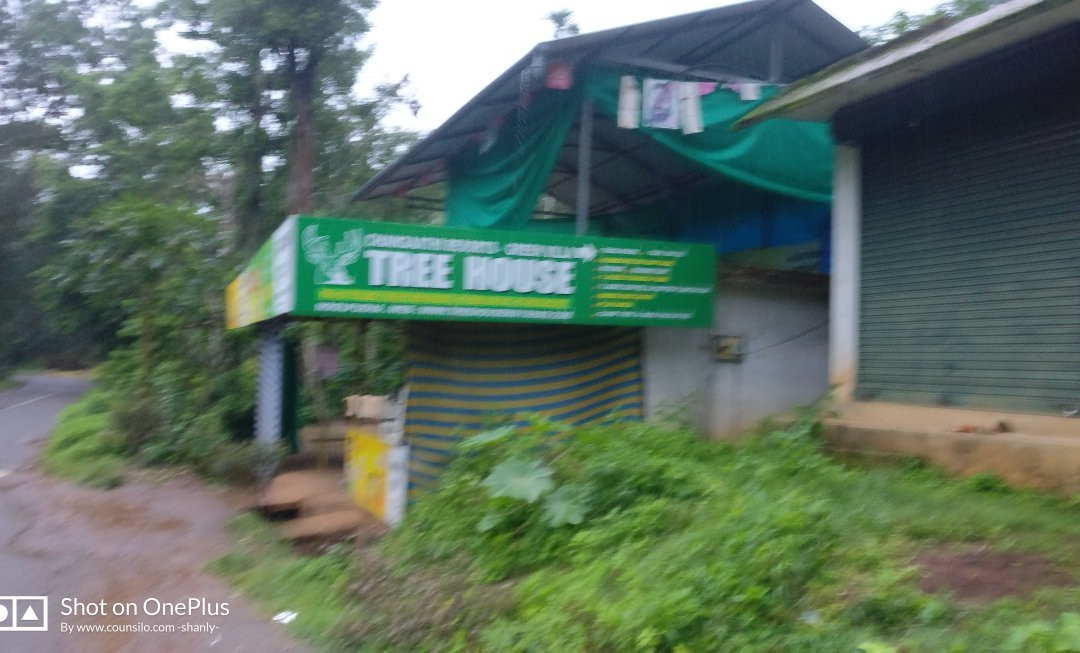 Forest Inn Tree House主图