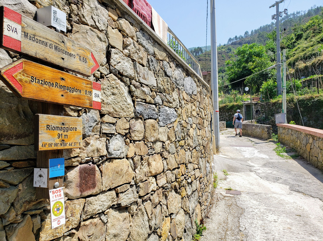 Trail 2景点图片