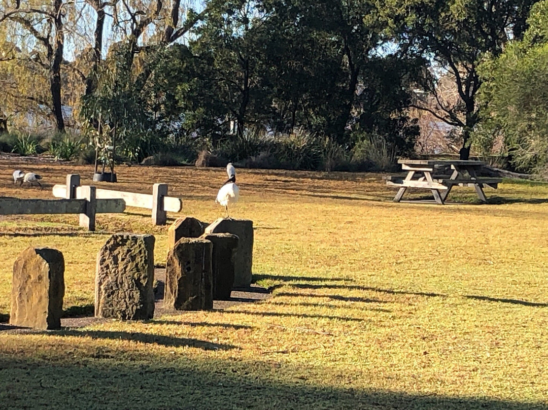 Lake Guyatt-塞尔必去景点