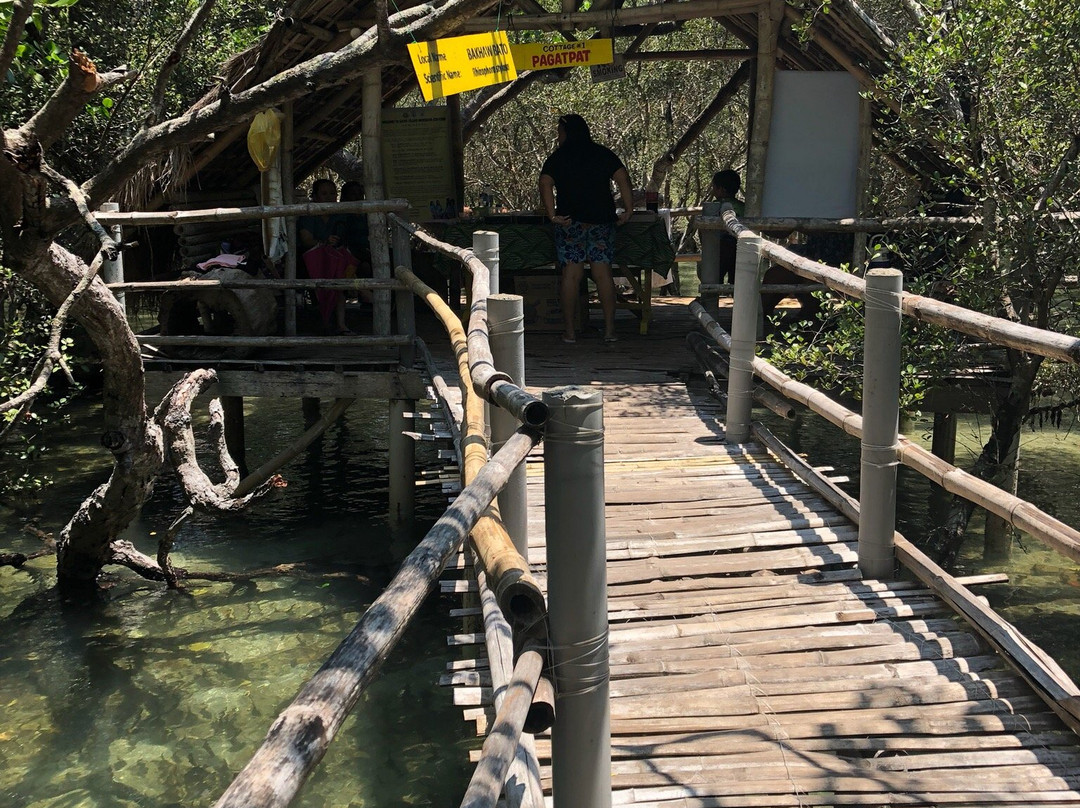 Suyac Island Mangrove Eco-Park景点图片