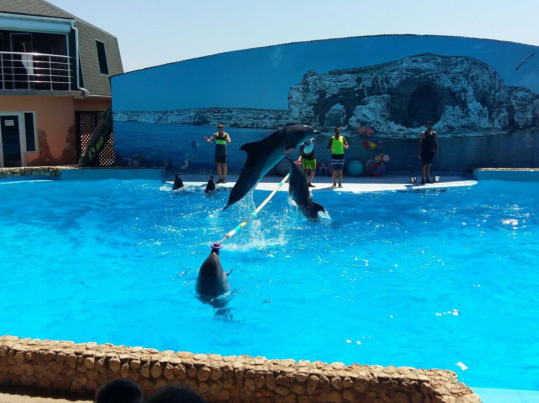 Dolphinarium-Olenevka必去景点