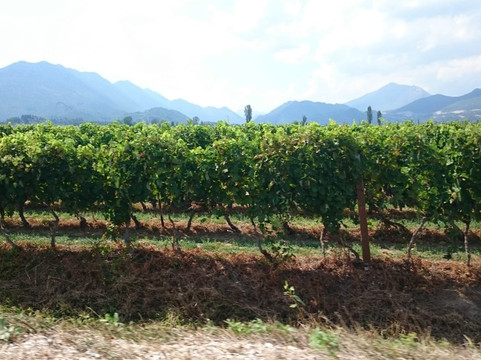 Winery Antunovic-Otric-Seoci必去景点