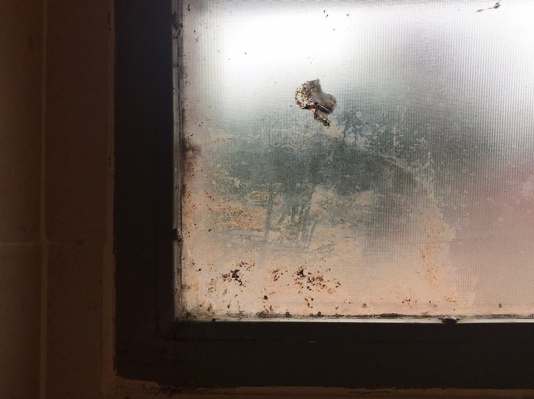 Complejo La Aventura主图