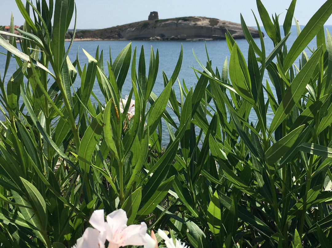 Cuglieri-Cuglieri必去景点