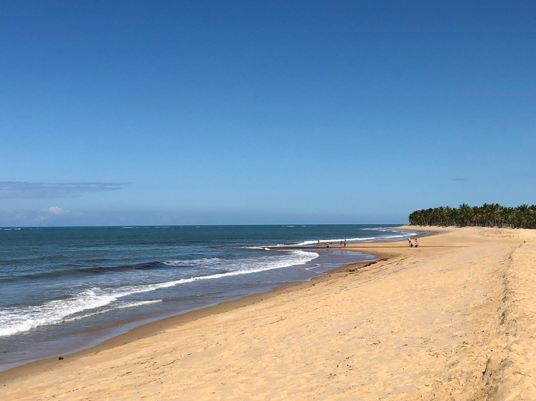 Rio da Barra Beach景点图片