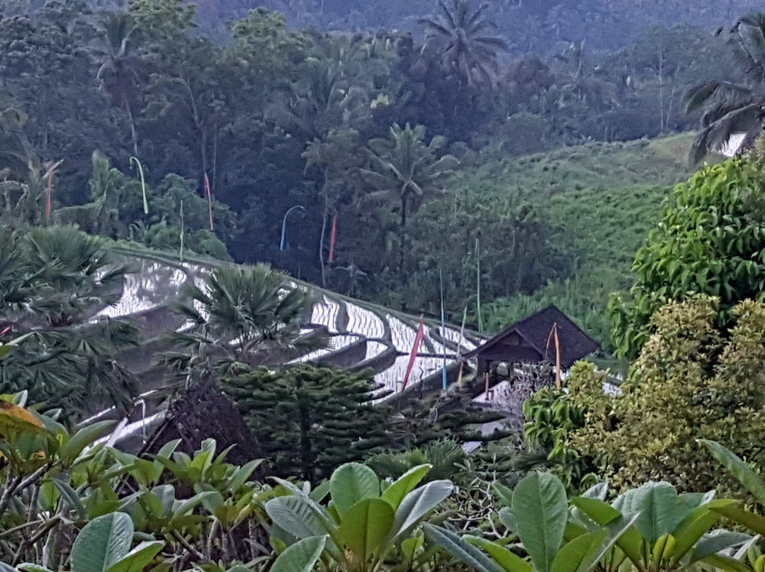 可不内别墅主图