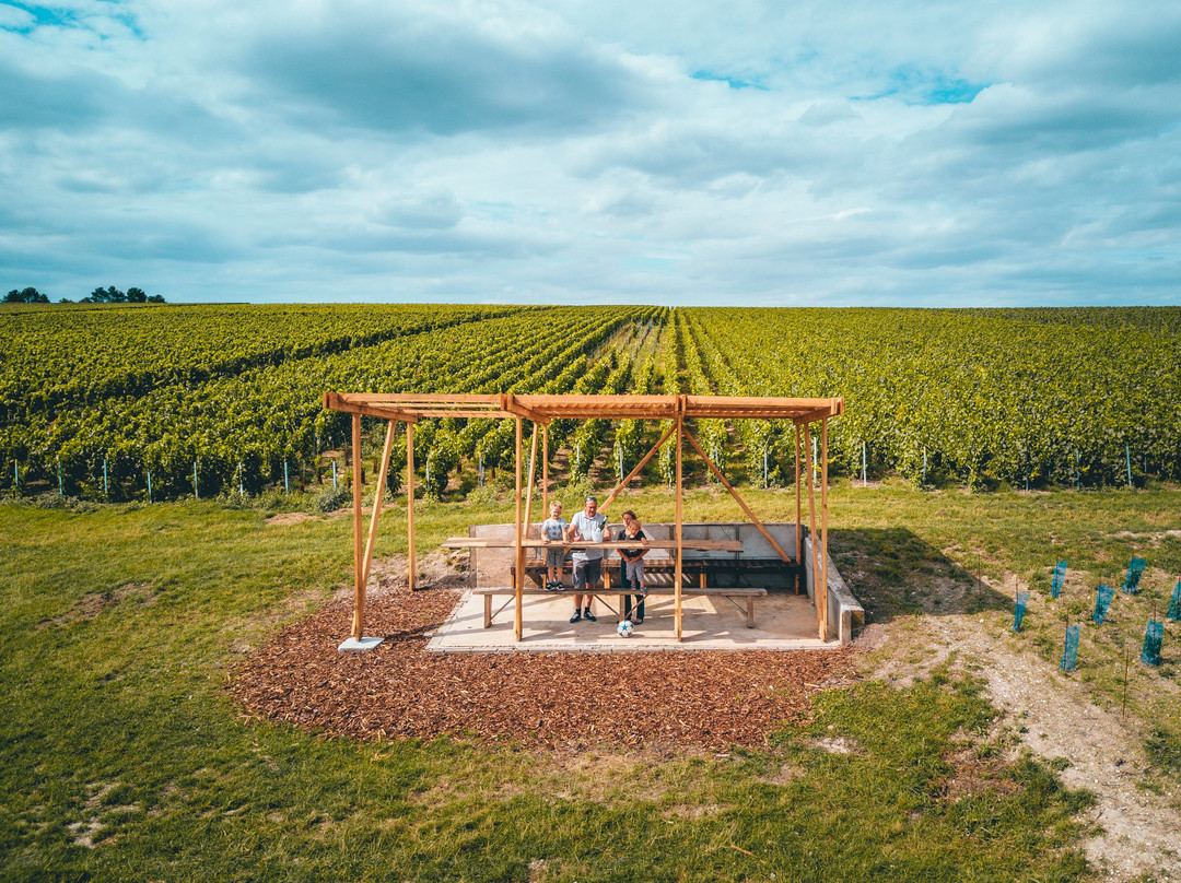 Champagne Lamiable-Tours-sur-Marne必去景点
