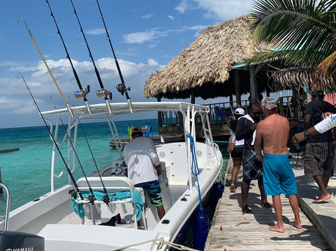 CAL Tropic Tours-克朗波因特必去景点