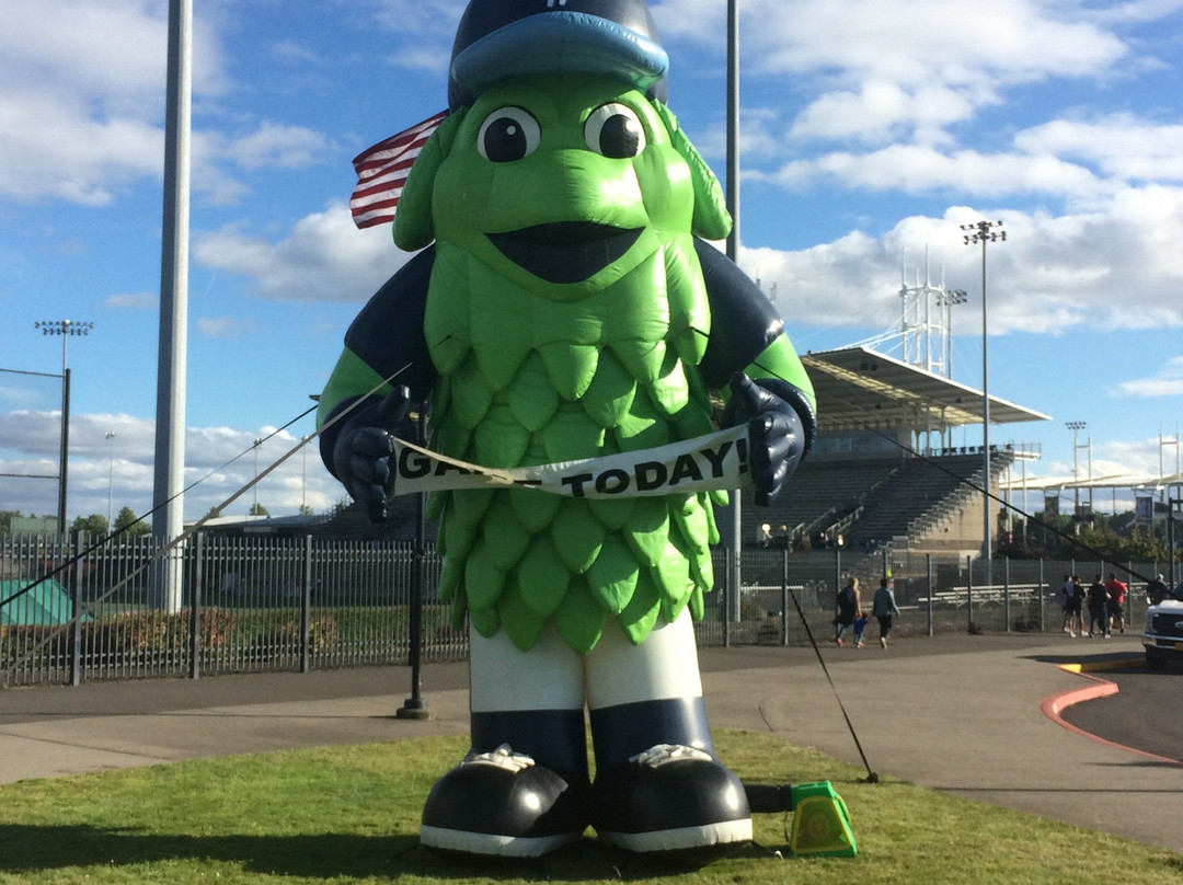 Ron Tonkin Field-希尔斯伯勒必去景点