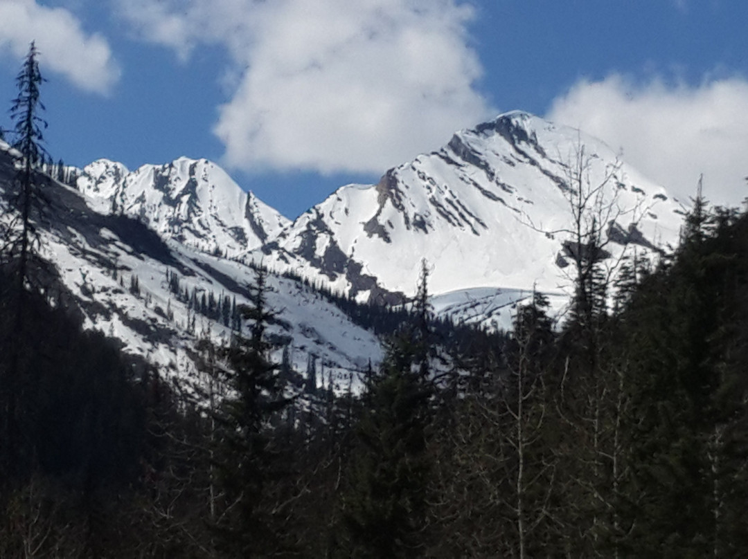 Rogers Pass Discovery Centre景点图片