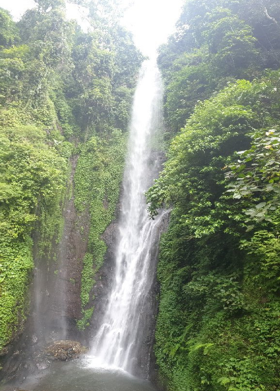 Putuk Truno Waterfall景点图片