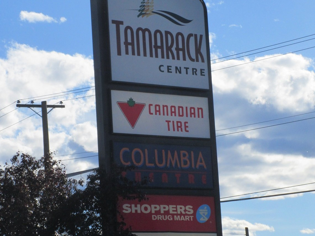 Tamarack Centre景点图片