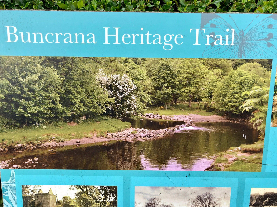 Amazing Grace Viewing Platform, Walk and Park!-Buncrana必去景点