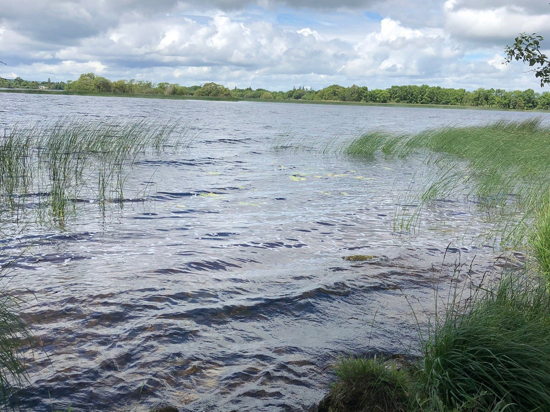 Portumna Forest Park-Portumna必去景点