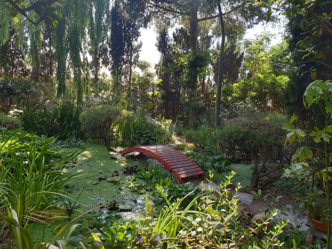 Jardin Botanico La Almunya del Sur景点图片