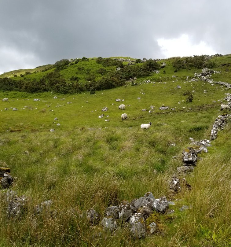 Knockillaree Riding Centre-Oughterard必去景点