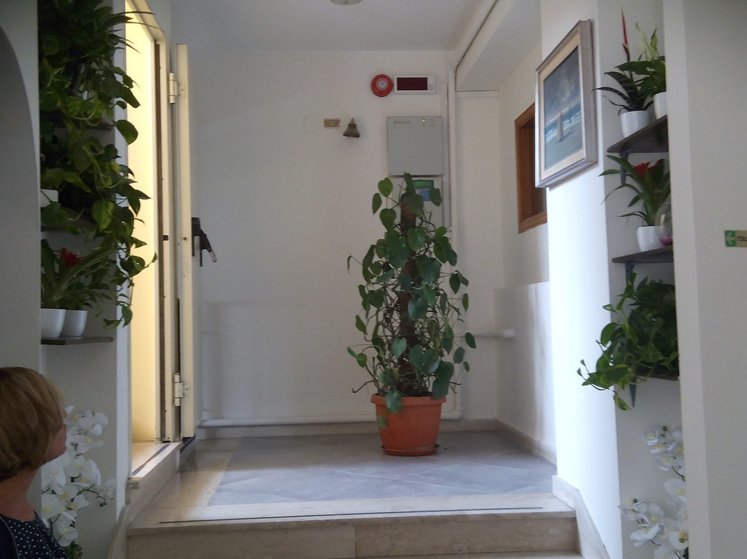 Hotel Turium主图