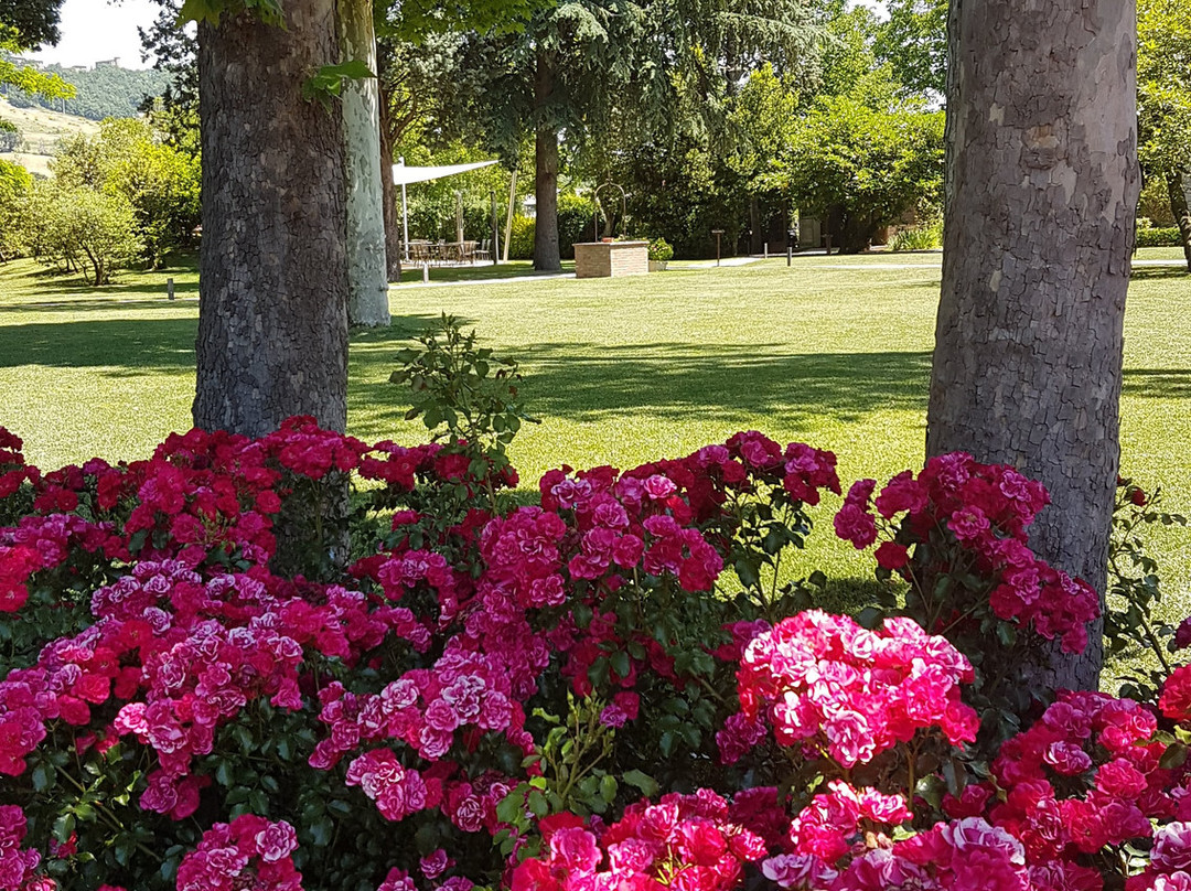 Borgo Cadonega Relais & SPA主图