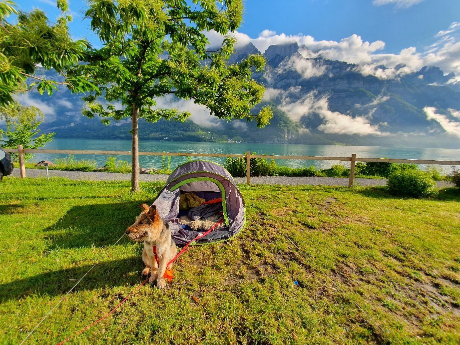 Camping Murg