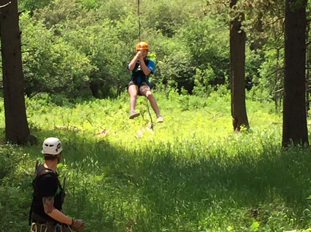 Treeosix Adventure Parks-Maple Creek必去景点