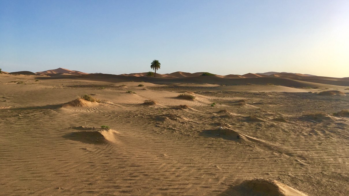 塔寇伊旅馆-酒店景观