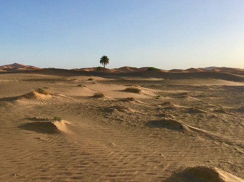 塔寇伊旅馆主图