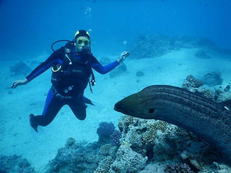 DIVING MARINA "KOPARKI"景点图片