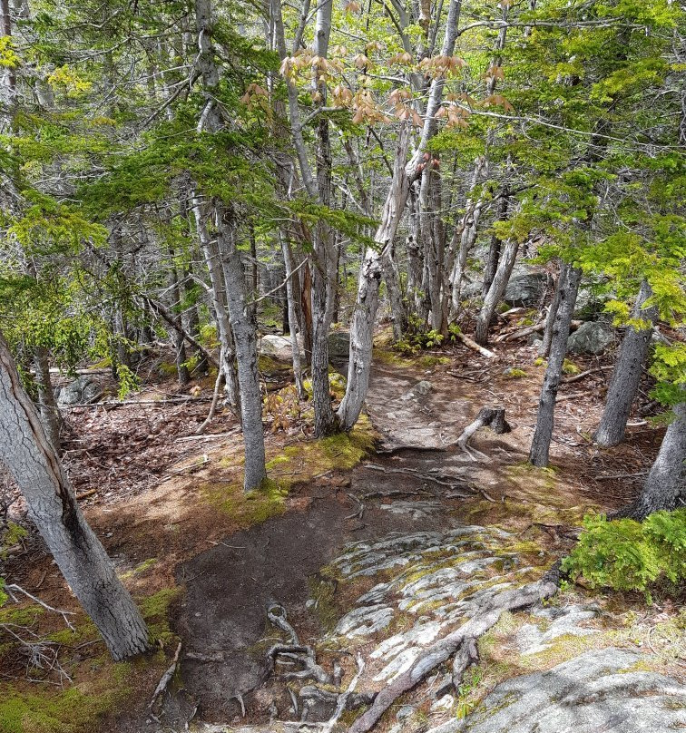 Freshwater Lake Lookoff-Cape North必去景点
