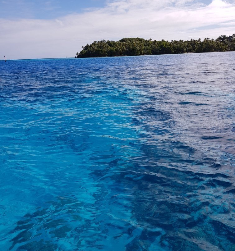 TOPDIVE Bora Bora景点图片