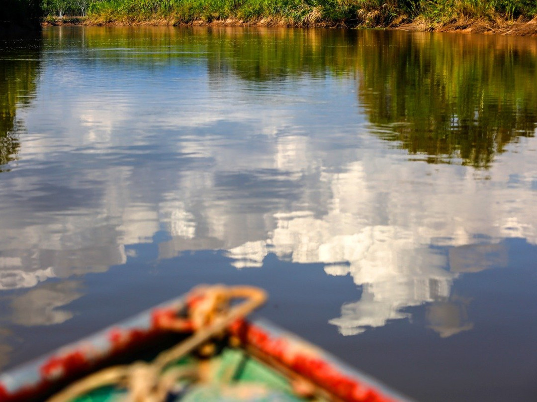 Amazon Reise Eco Lodge主图