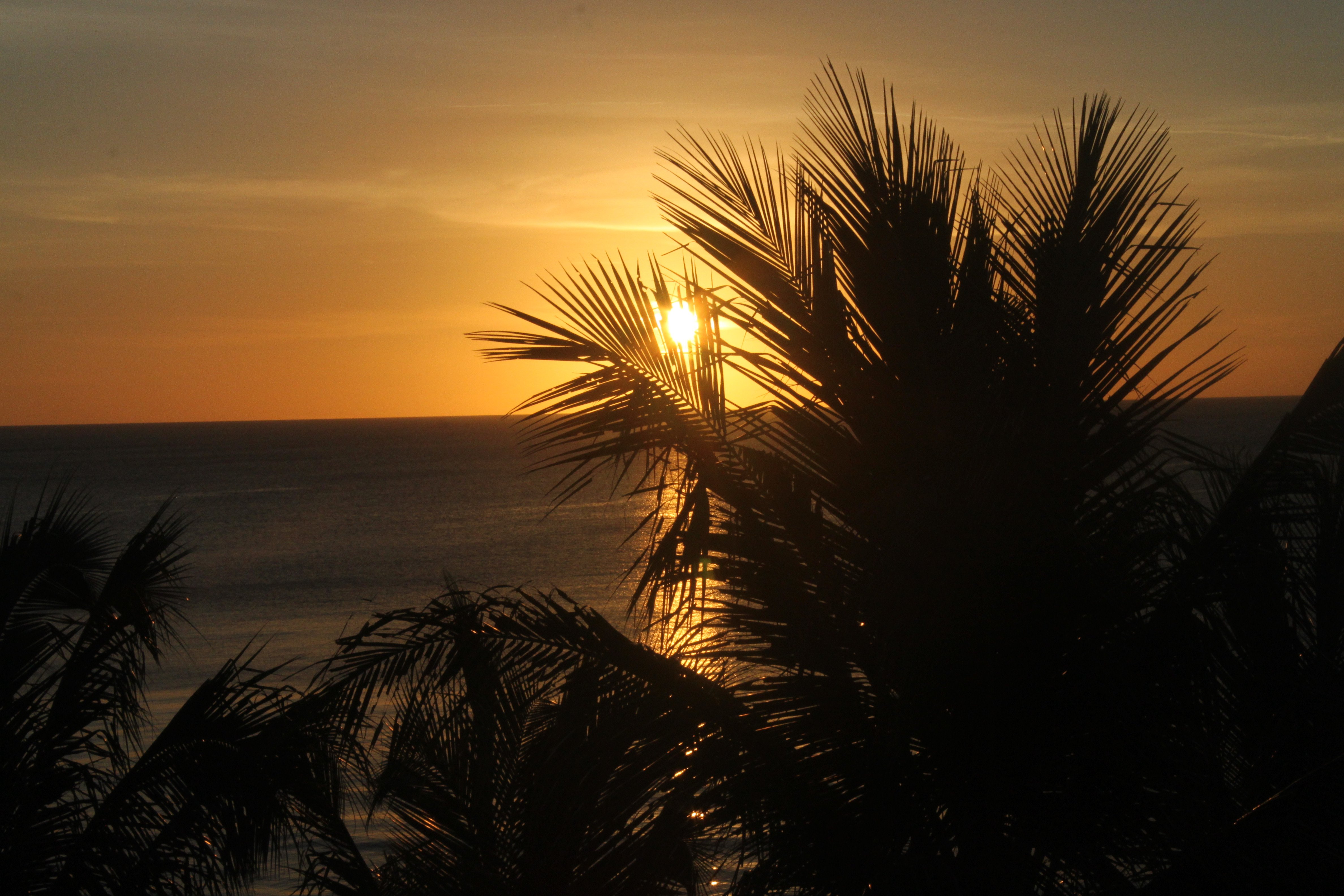 Batanes Seaside Lodge and Restaurant-酒店景观