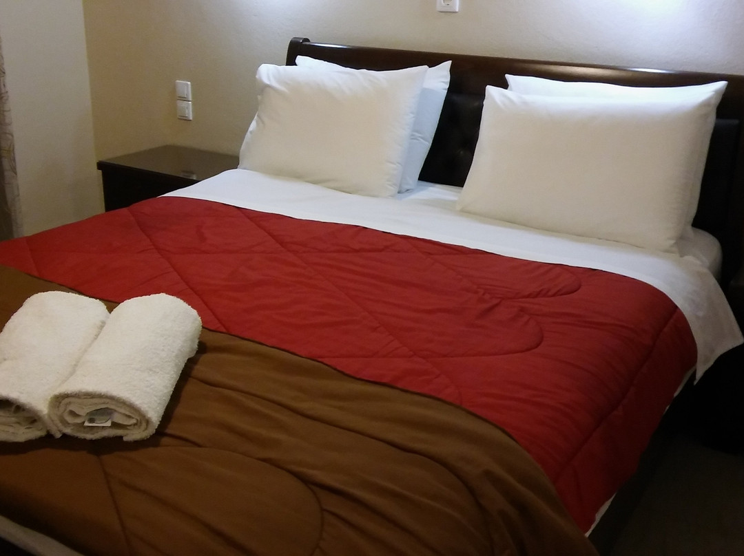 Spartacus House主图