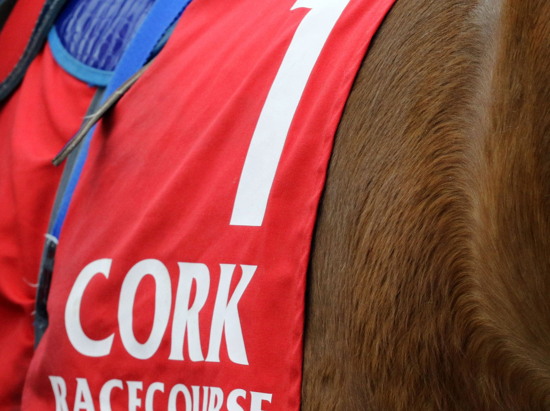 Cork Racecourse Mallow景点图片