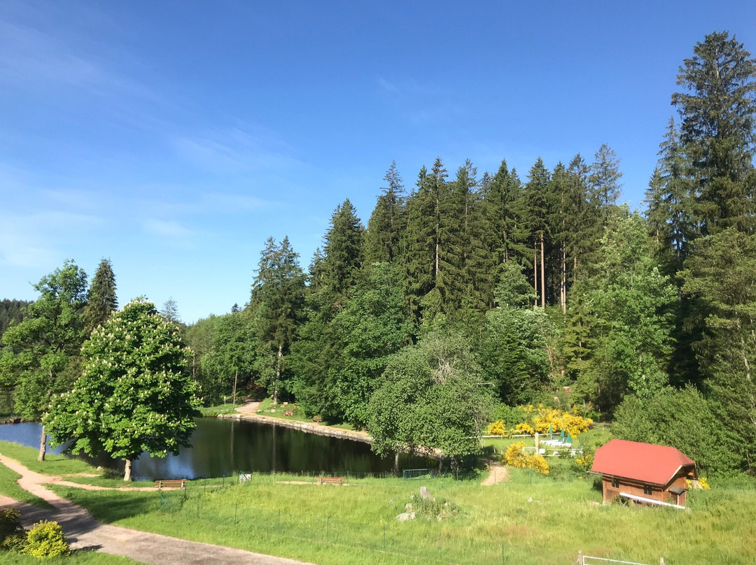 Landhaus Lauble主图