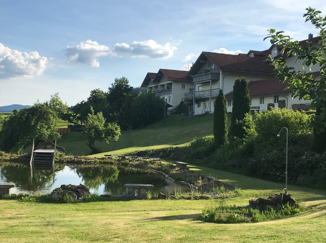 Prackenbach酒店住宿-Landhotel Miethaner