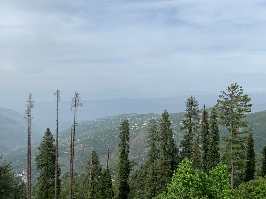 The Mont Calm Suites主图