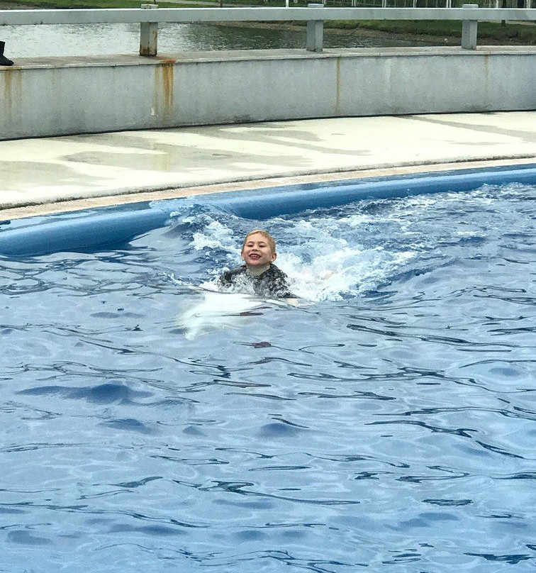 Batumi Dolphinarium-巴统必去景点
