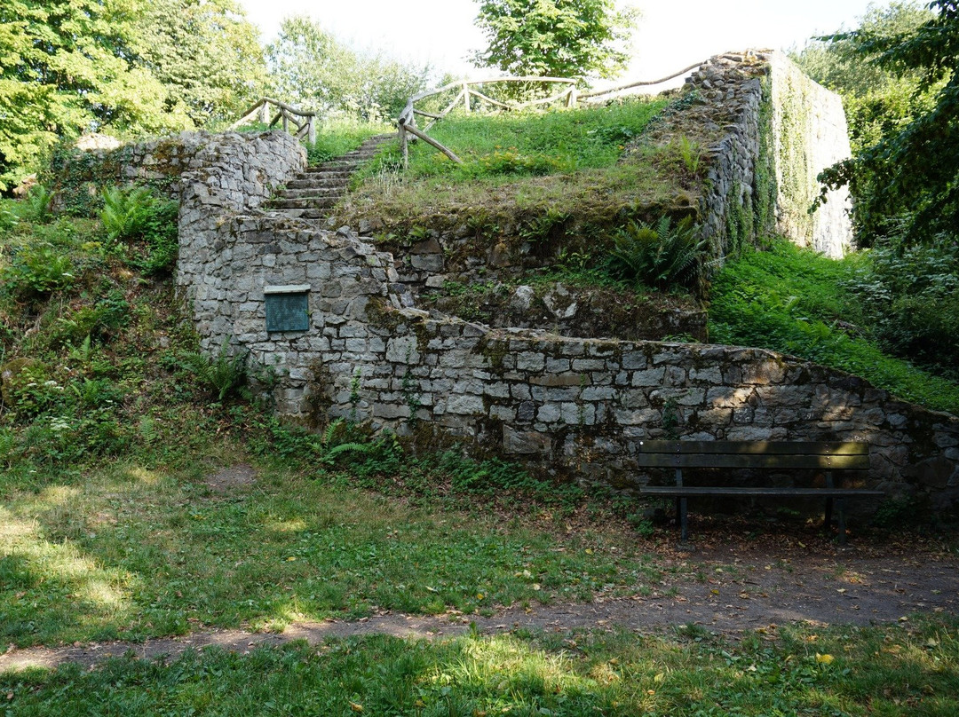 Naturpark Siebengebirge景点图片