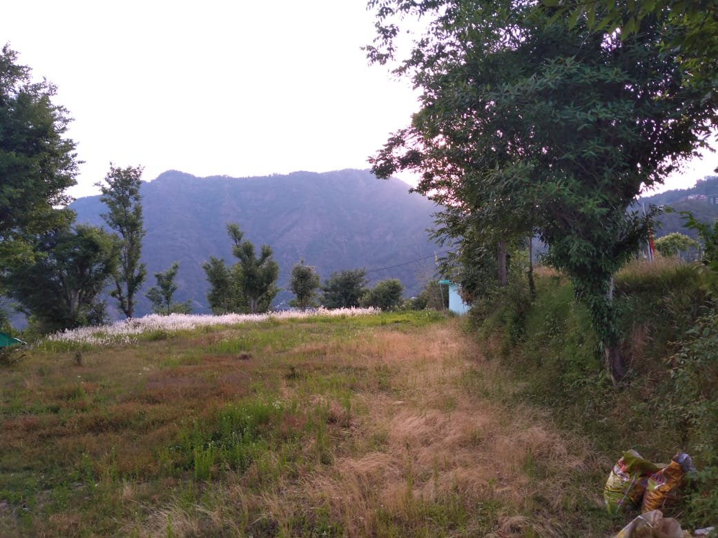 Vatika Resort-酒店景观
