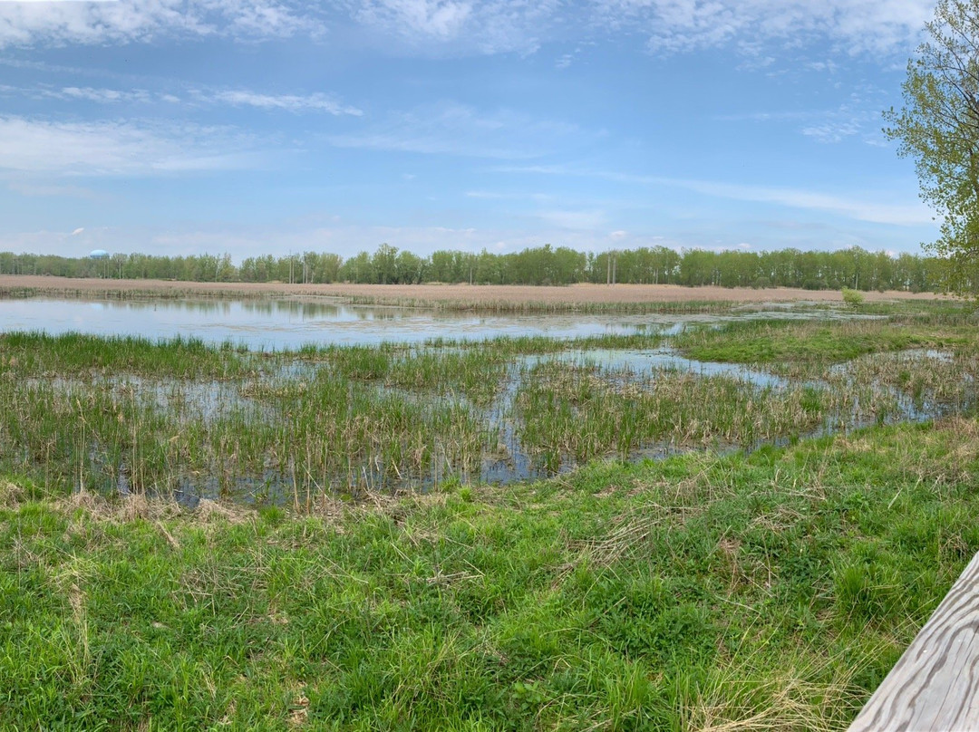 Tifft Nature Preserve-水牛城必去景点