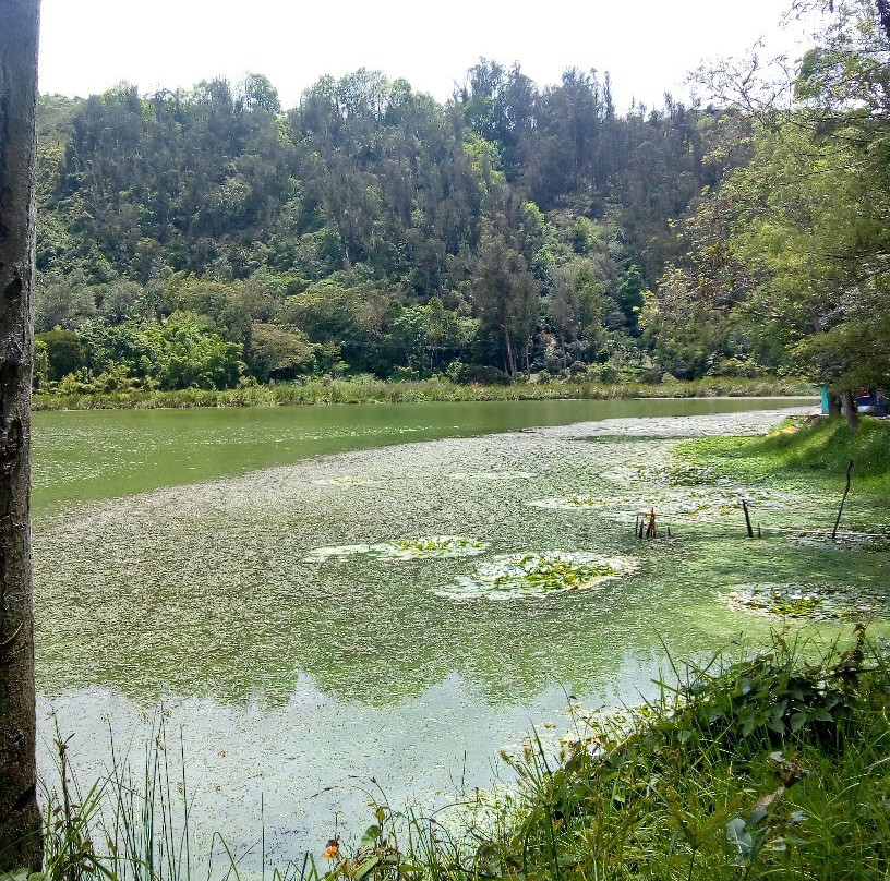 Laguna de Ubaque景点图片