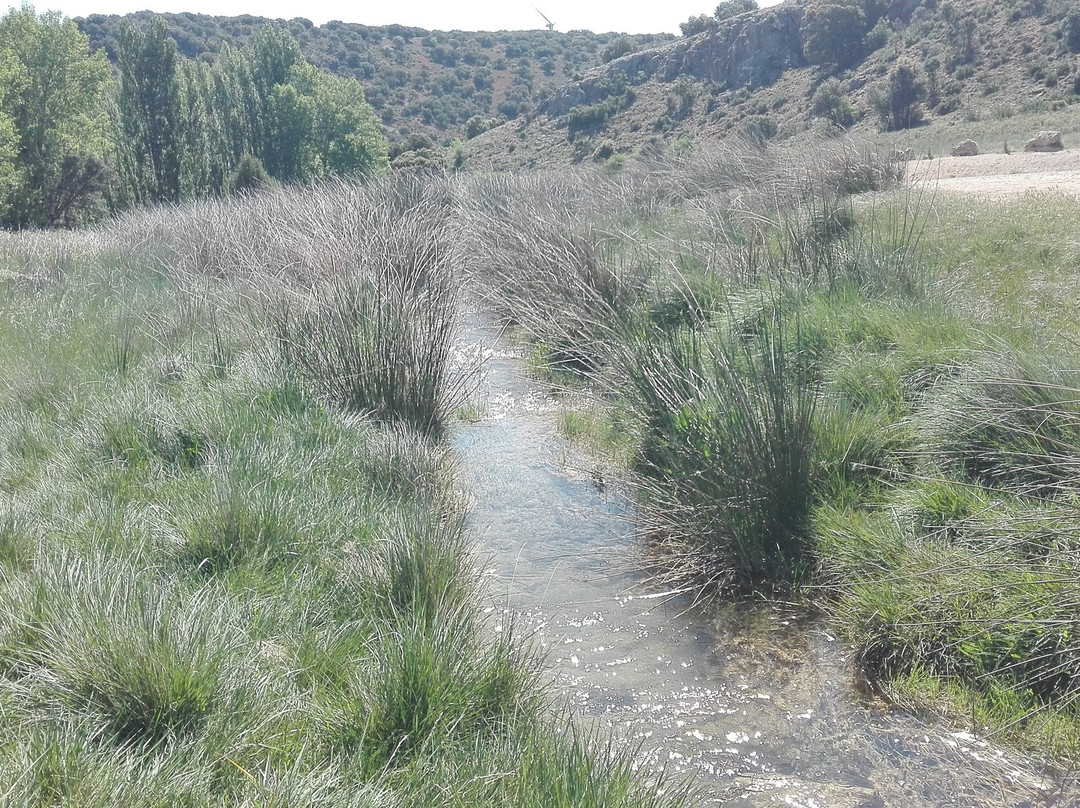 Laguna del Arquillo景点图片