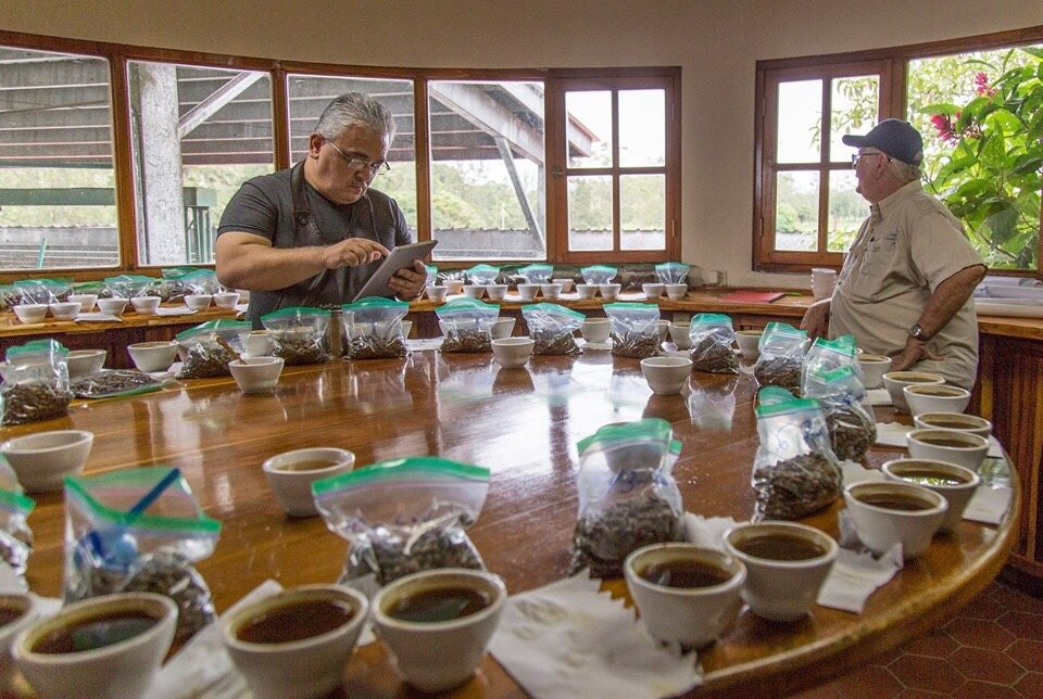 Lagunas Adventures on The Janson Coffee Farm景点图片