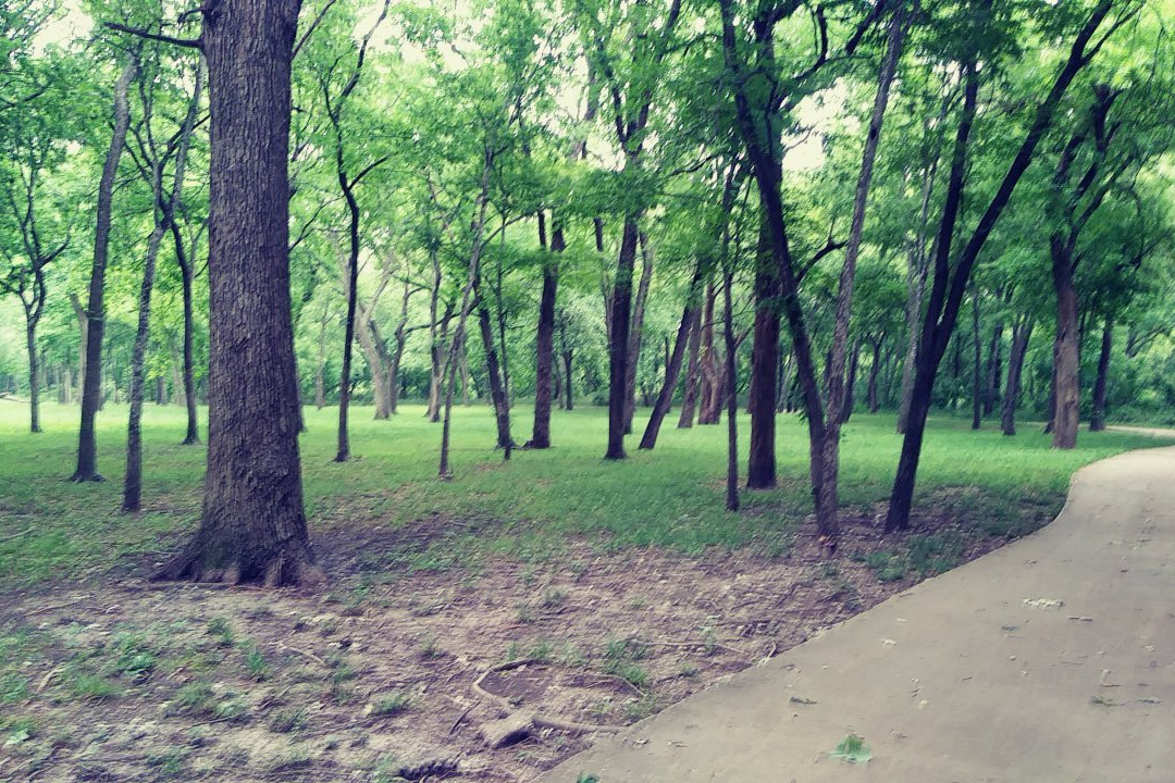 Breckinridge Park-理查森必去景点