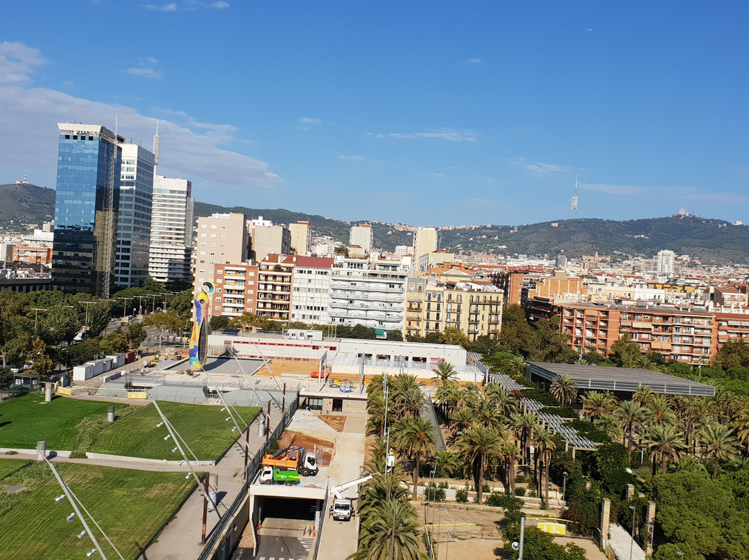 Parc de Joan Miró景点图片