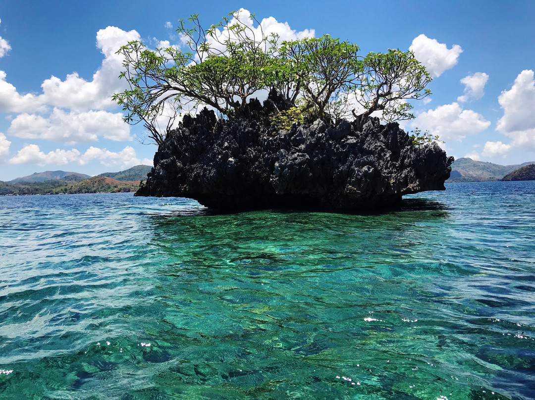 Easy Diving Coron-科隆必去景点