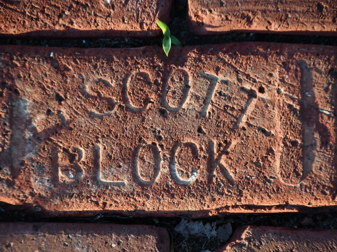 Courtland Hotel & Day Spa主图