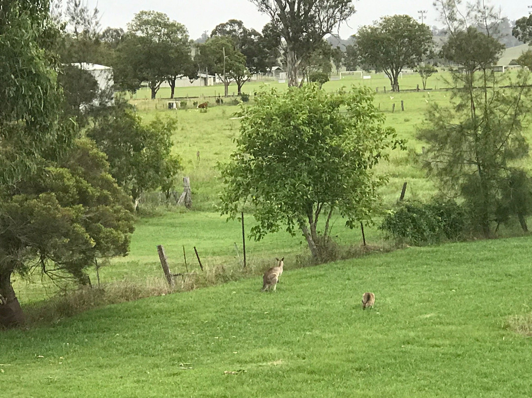 Andavine House Bed & Breakfast主图