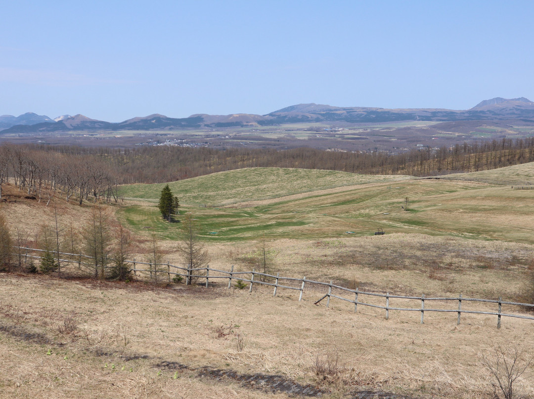 900草原展望台-弟子屈町必去景点