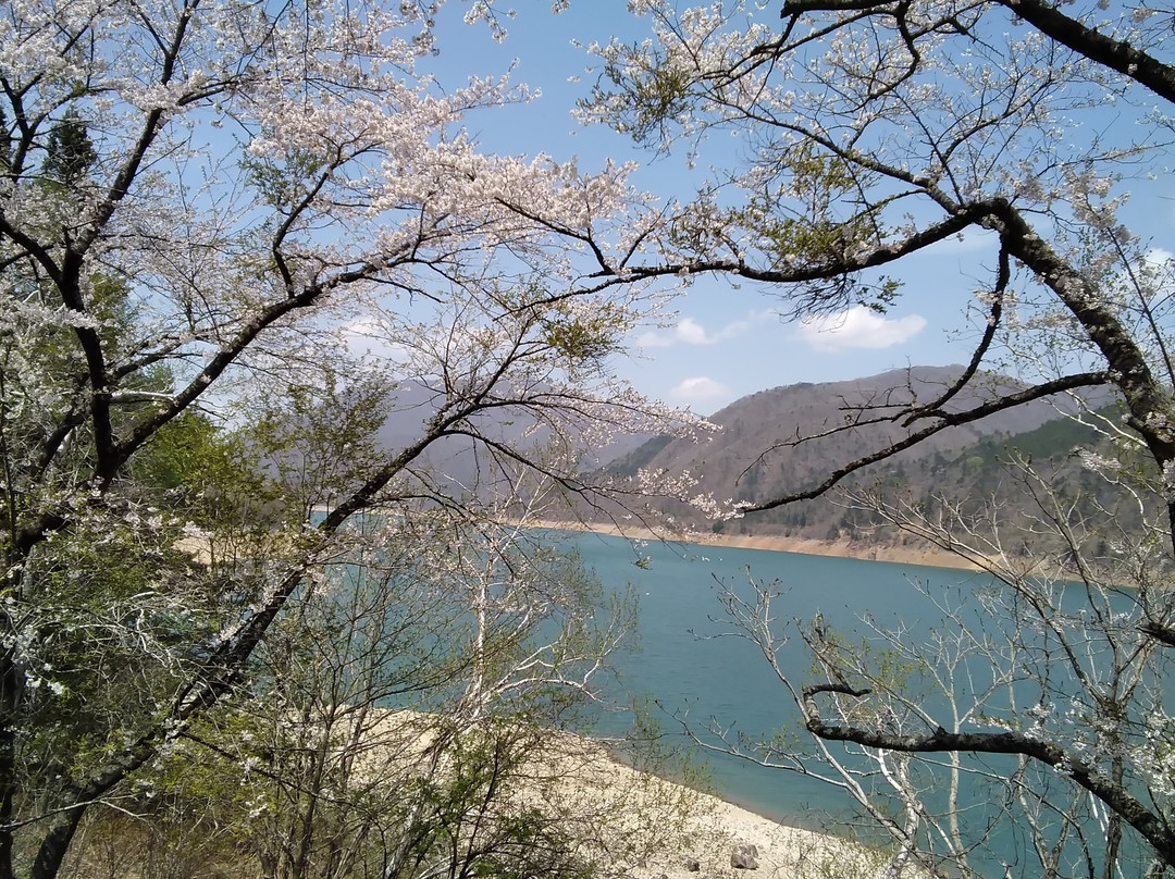 Shokawa-Zakura景点图片